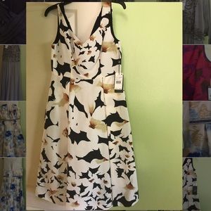 Adrianna Papell Lily Floral Fit and Flare Dress